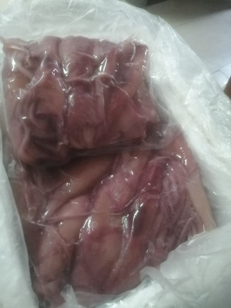 全国包邮鱿鱼水发鱿鱼厂家直销鱿鱼鱿鱼鱿鱼