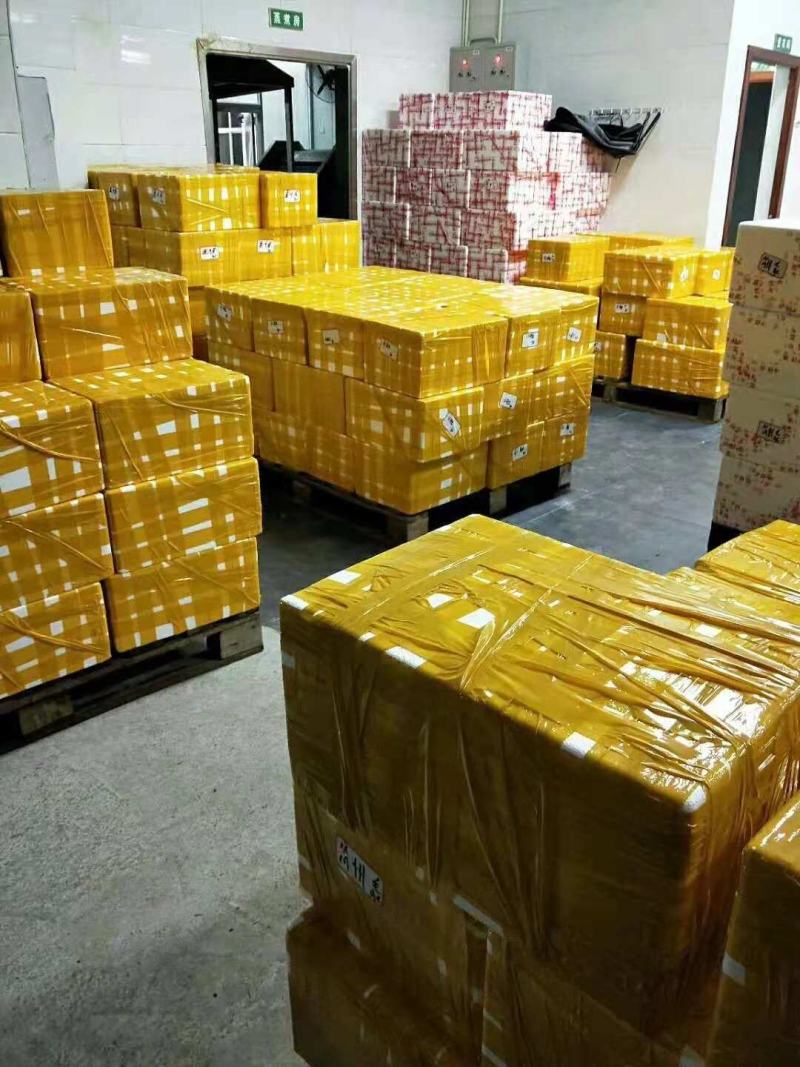 全国包邮鱿鱼水发鱿鱼厂家直销鱿鱼鱿鱼鱿鱼