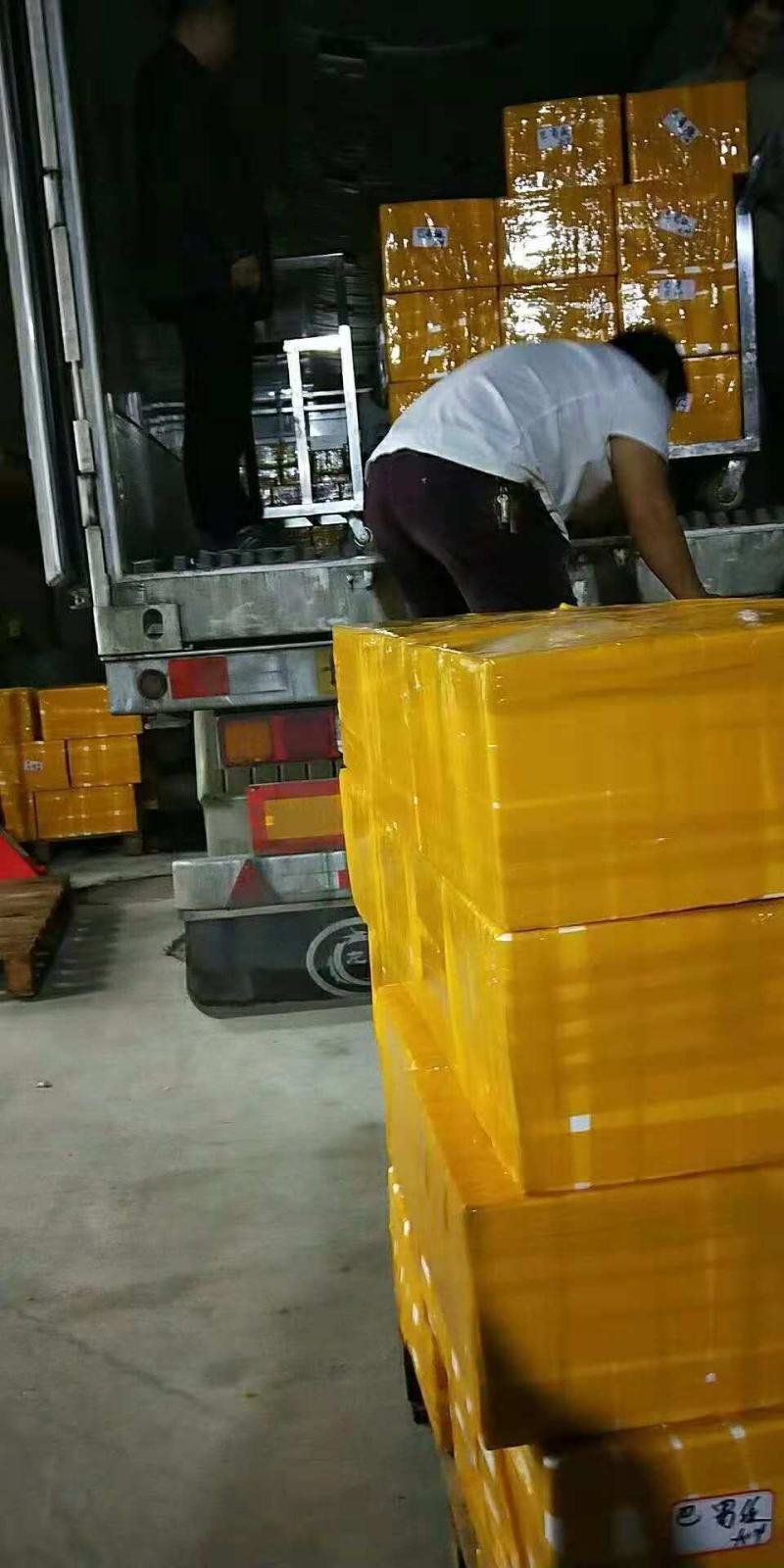 全国包邮鱿鱼水发鱿鱼厂家直销鱿鱼鱿鱼鱿鱼