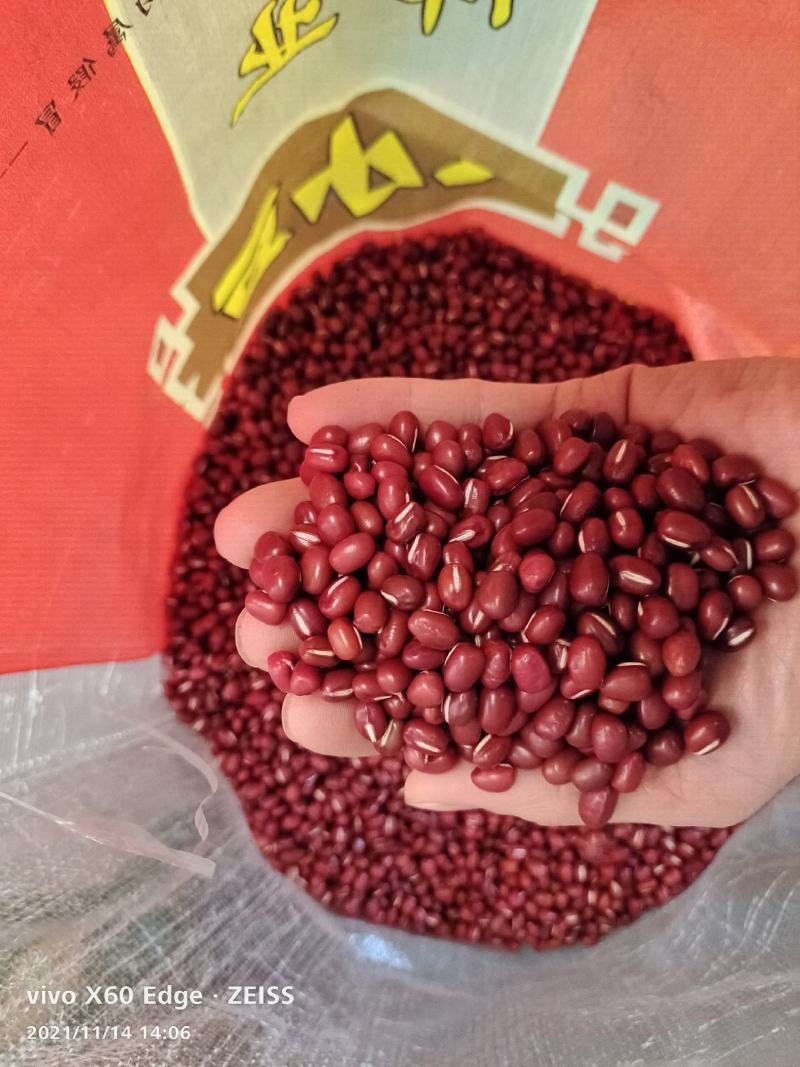 红小豆大粒东北新粮红豆大红袍五谷杂粮红豆袋装50斤
