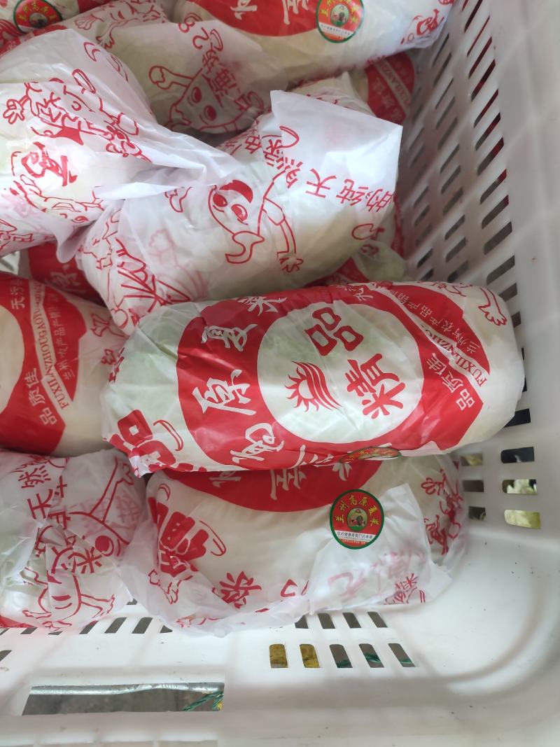 湖北白菜，黄心大白菜净菜，包紧个均一手货源欢迎采购
