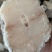 无冰鳕鱼块，深海鳕鱼块，一箱19斤，各种海鱼批发