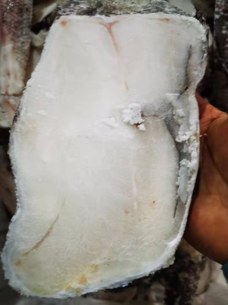 无冰鳕鱼块，深海鳕鱼块，一箱19斤，各种海鱼批发