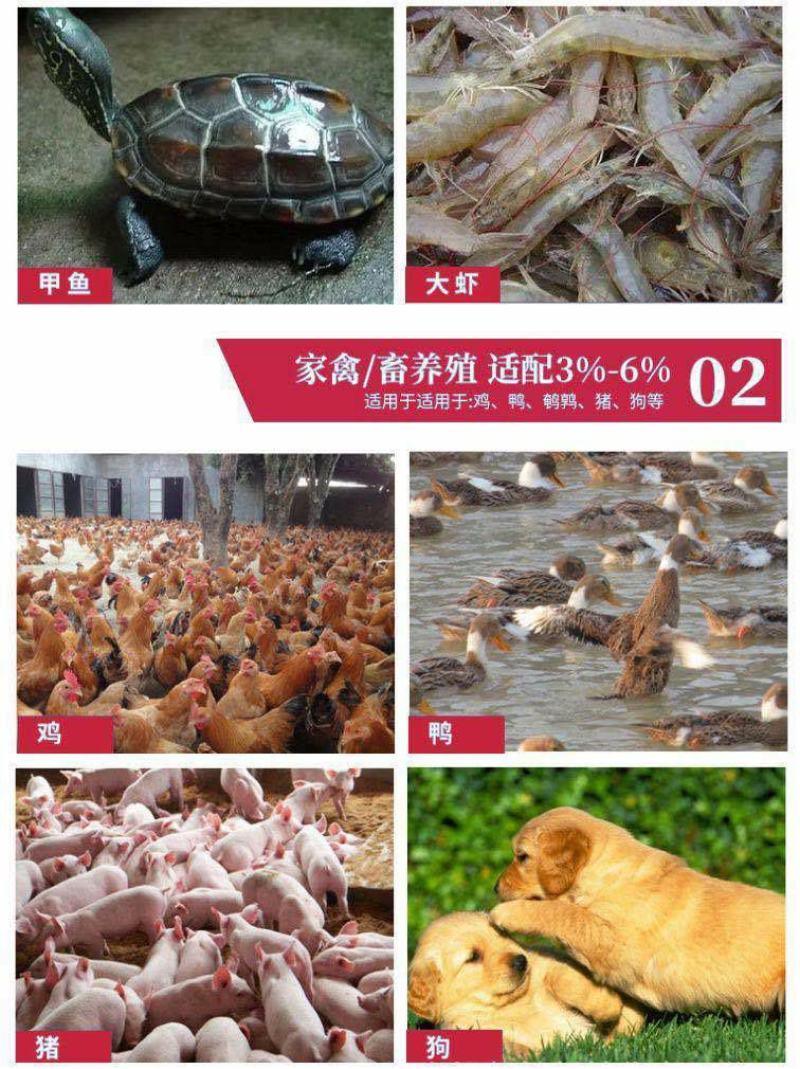 秘鲁进口鱼粉国产脱脂鱼粉鸡鸭鹅猪狗狐貂水产养殖龙虾禽畜饲