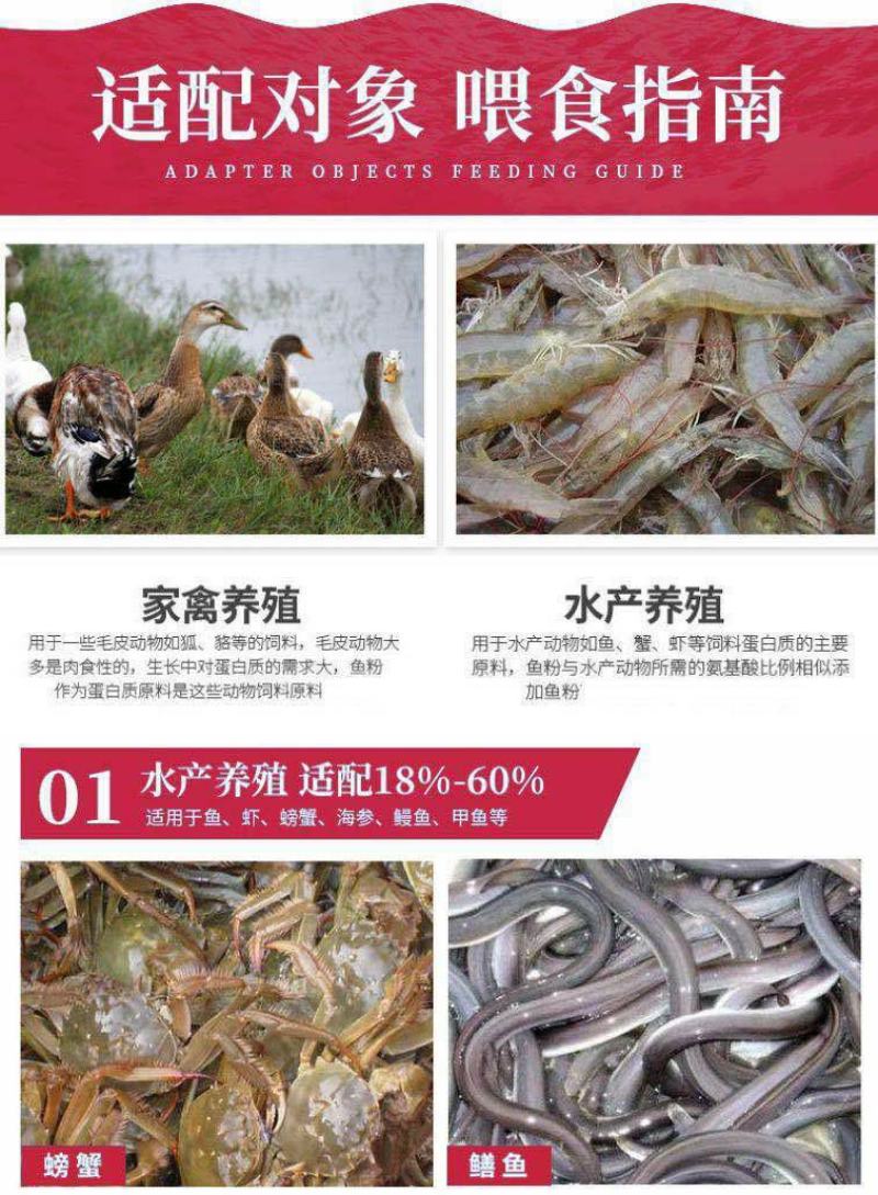 秘鲁进口鱼粉国产脱脂鱼粉鸡鸭鹅猪狗狐貂水产养殖龙虾禽畜饲