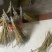 霍山原产地石斛直销大量批发可磨粉现货，品质好
