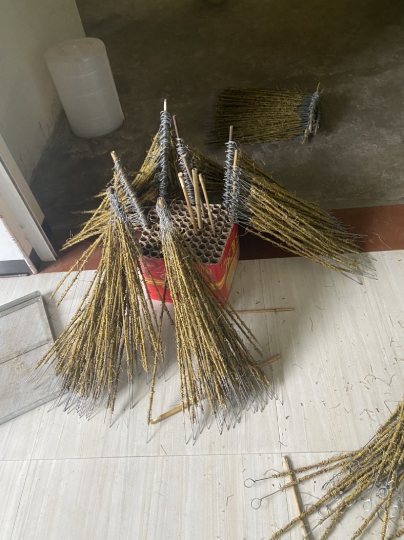 霍山原产地石斛直销大量批发可磨粉现货，品质好