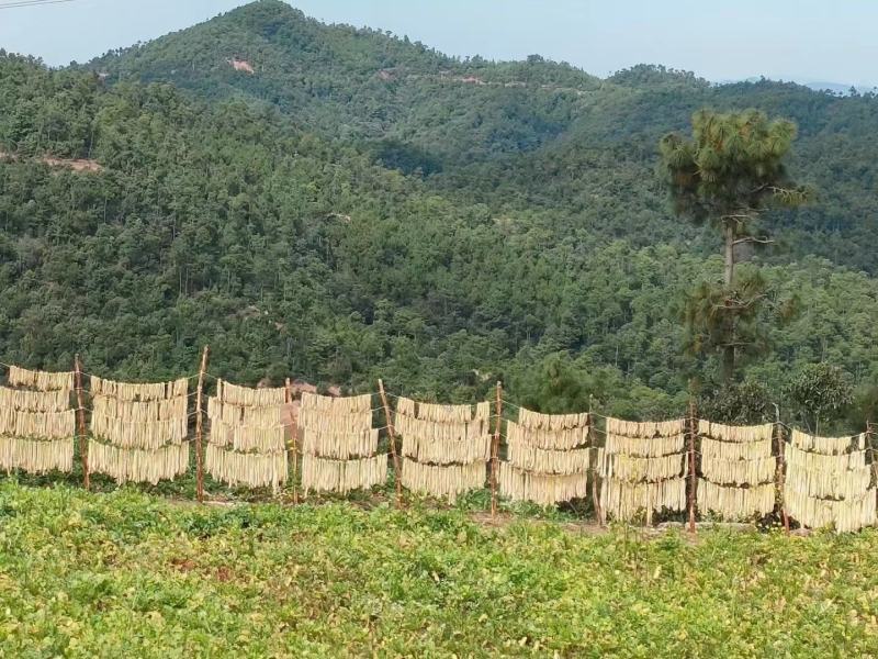 萝卜干无盐萝卜条脱水蔬菜自然风干微甜口感脆