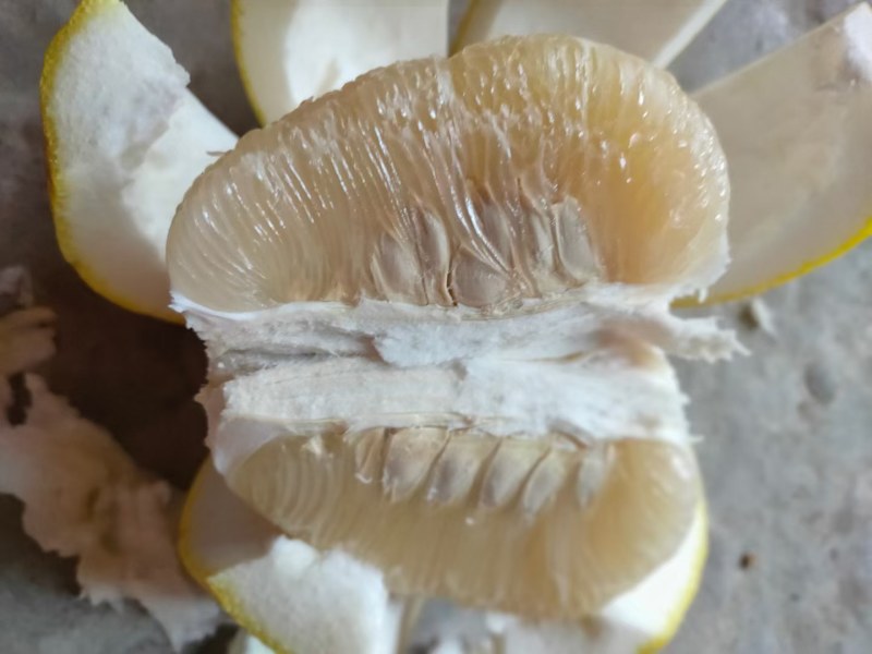 江永老树香柚口感纯甜，水份足，皮细