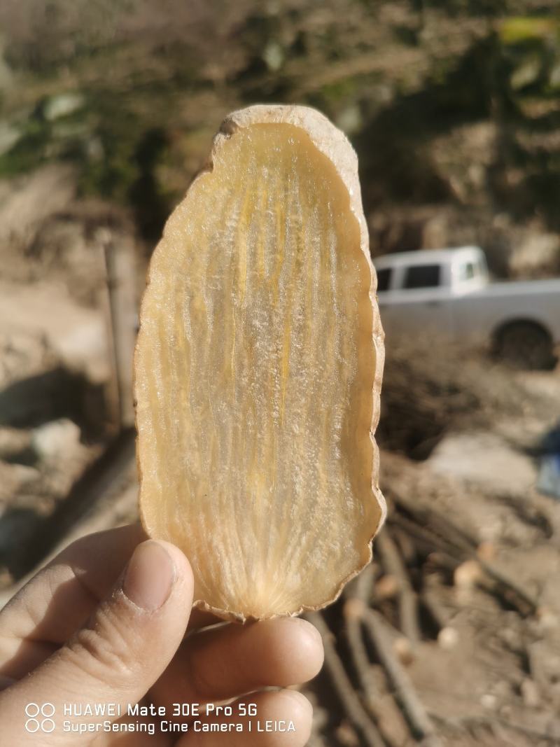 纯干无硫干天麻片，原汁原色无任何添加成份，产地直销包邮