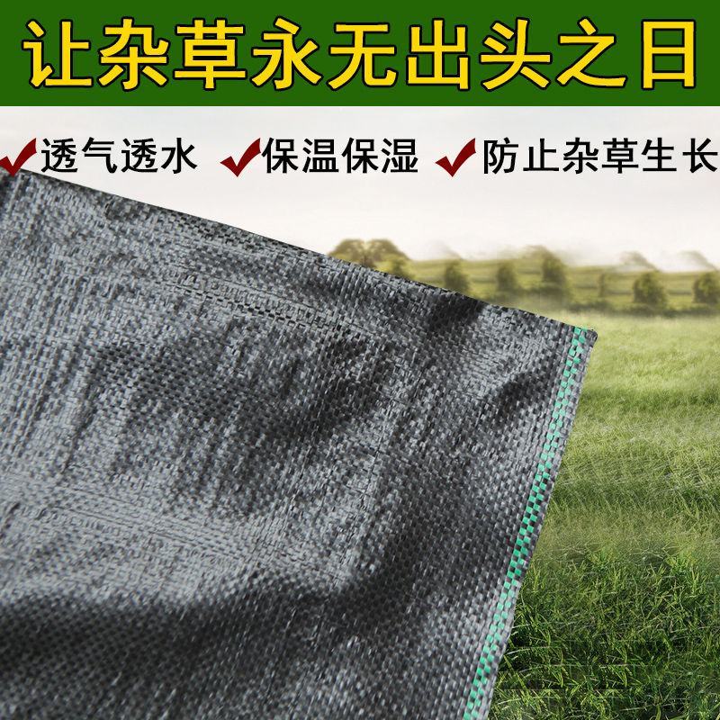 防草布果园抗老化园艺地布果树透水遮草盖草布透气大棚除草布