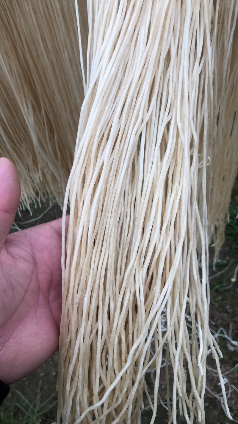红薯粉条木薯粉条厂家、一手货源传统手艺。不粘锅全国代发。