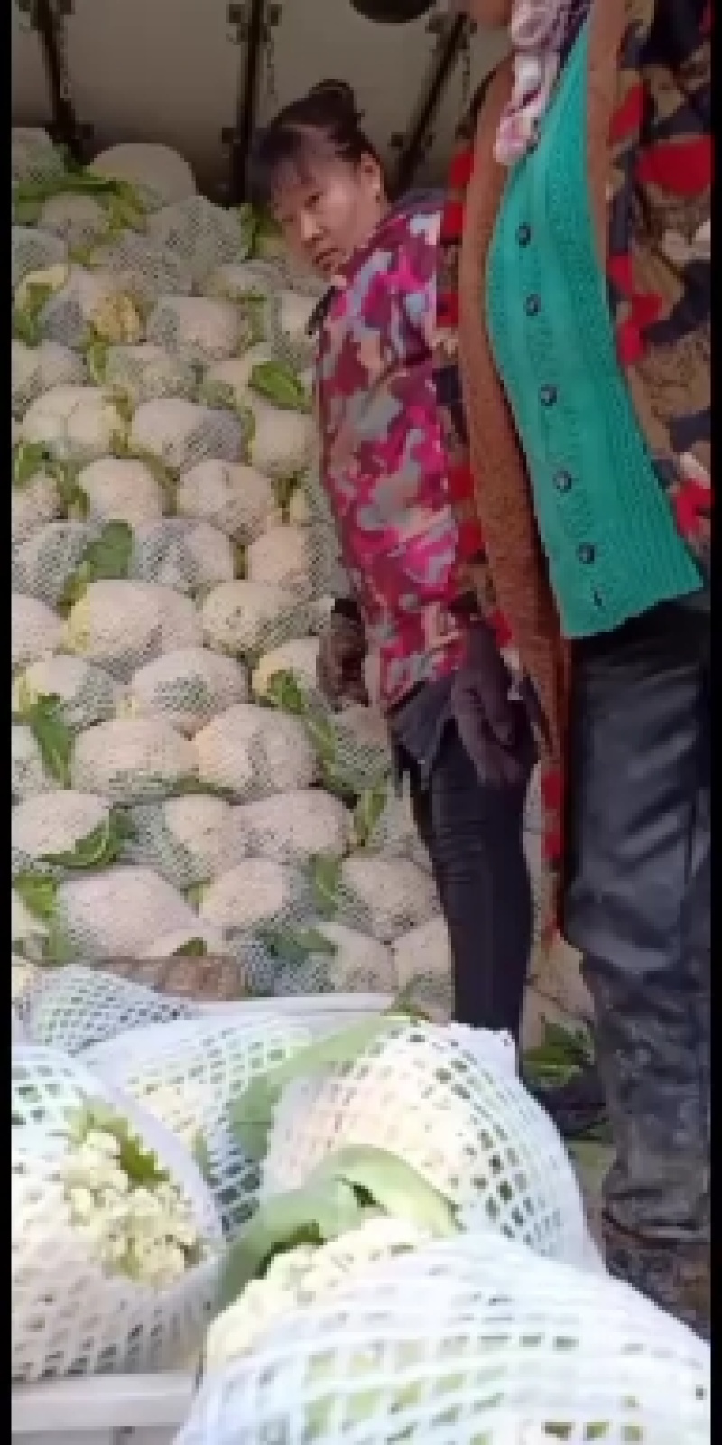 【推荐】青梗白面有机花菜产地直发代发全国包装齐全欢迎来电