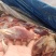 母猪后腱龟肉龟腱鼠腱内腱大猪腱子肉