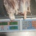母猪后腱龟肉龟腱鼠腱内腱大猪腱子肉