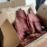 牛肉味猪肉大块肉腿肉口感好回头客多江湖地摊展会热卖