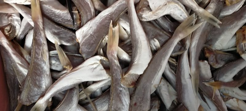 海鲫鱼净重35斤