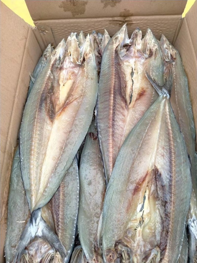 海鲫鱼净重35斤