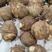 《8520芋头》毛芋头可常年批发全国发货山东芋头