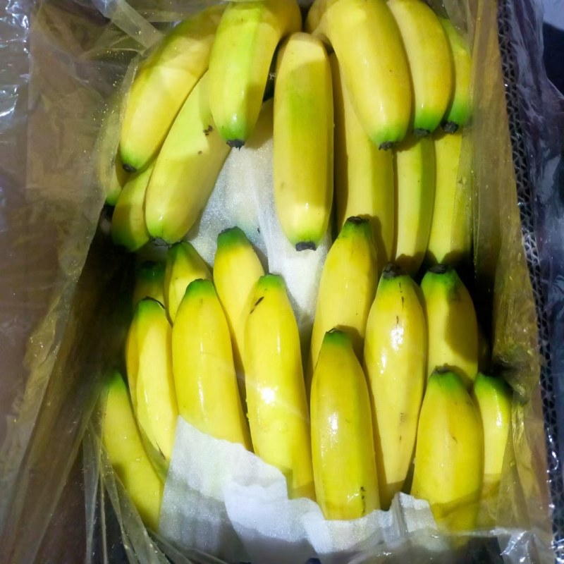 云南香蕉