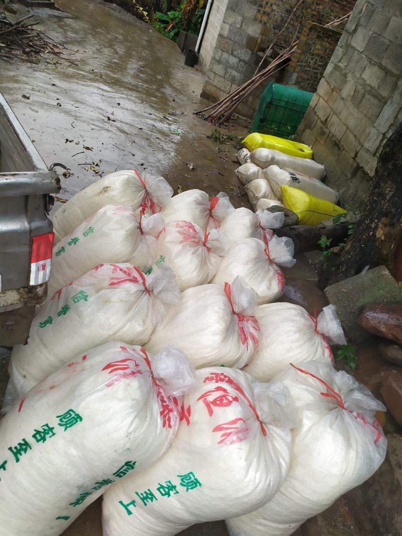 广西桂平市社坡镇新鲜豆渣，发酵豆渣，木薯渣适合养殖