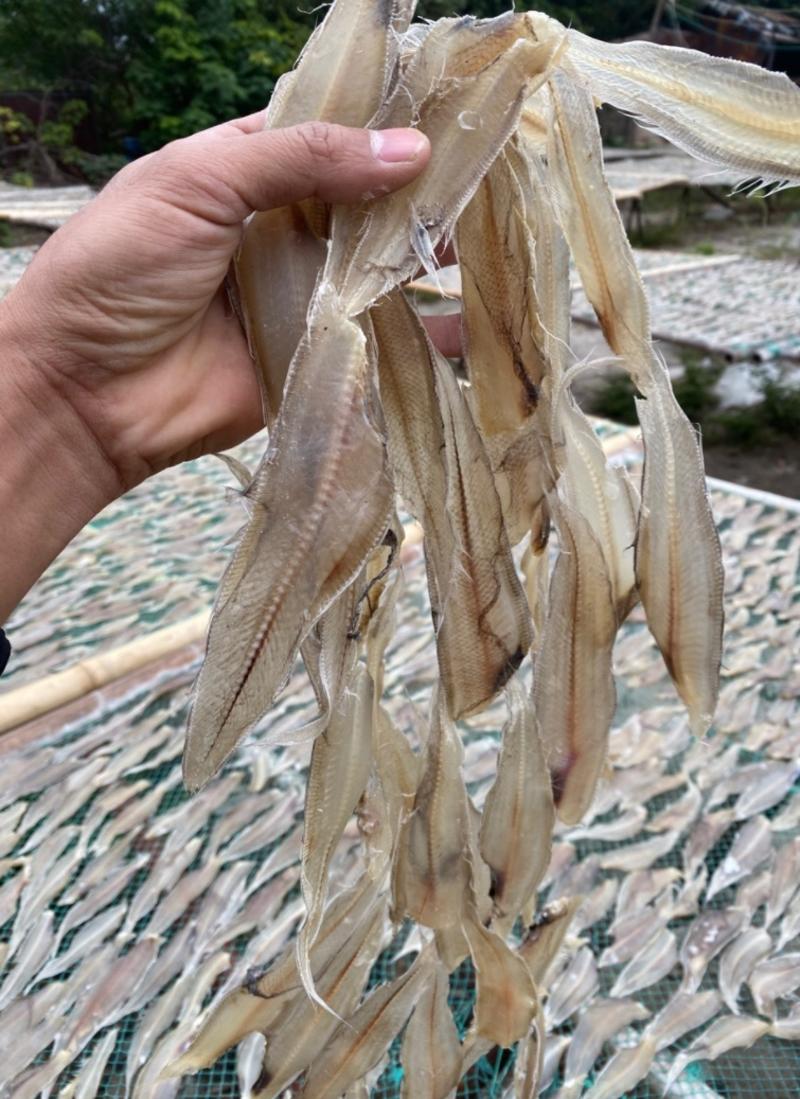 广西北海海鲜干货去头去内脏龙利鱼干、带头龙利鱼干