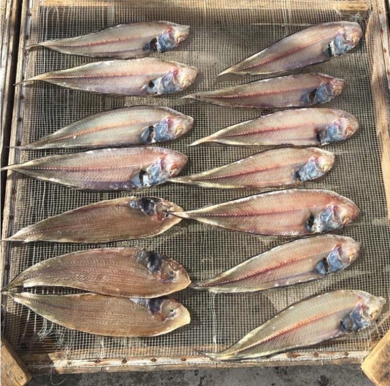 广西北海海鲜干货去头去内脏龙利鱼干、带头龙利鱼干