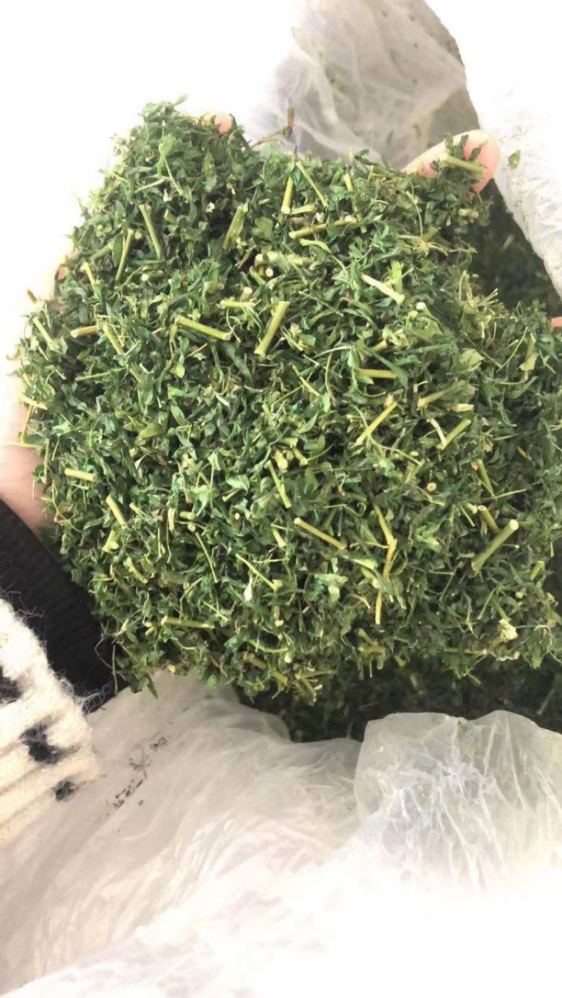 护肝茶