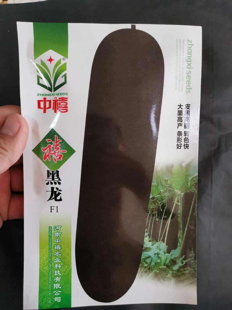 炮弹型黑皮冬瓜种子内腔小肉质厚转色快皮色黑亮有光泽