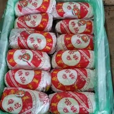 精品大娃娃，