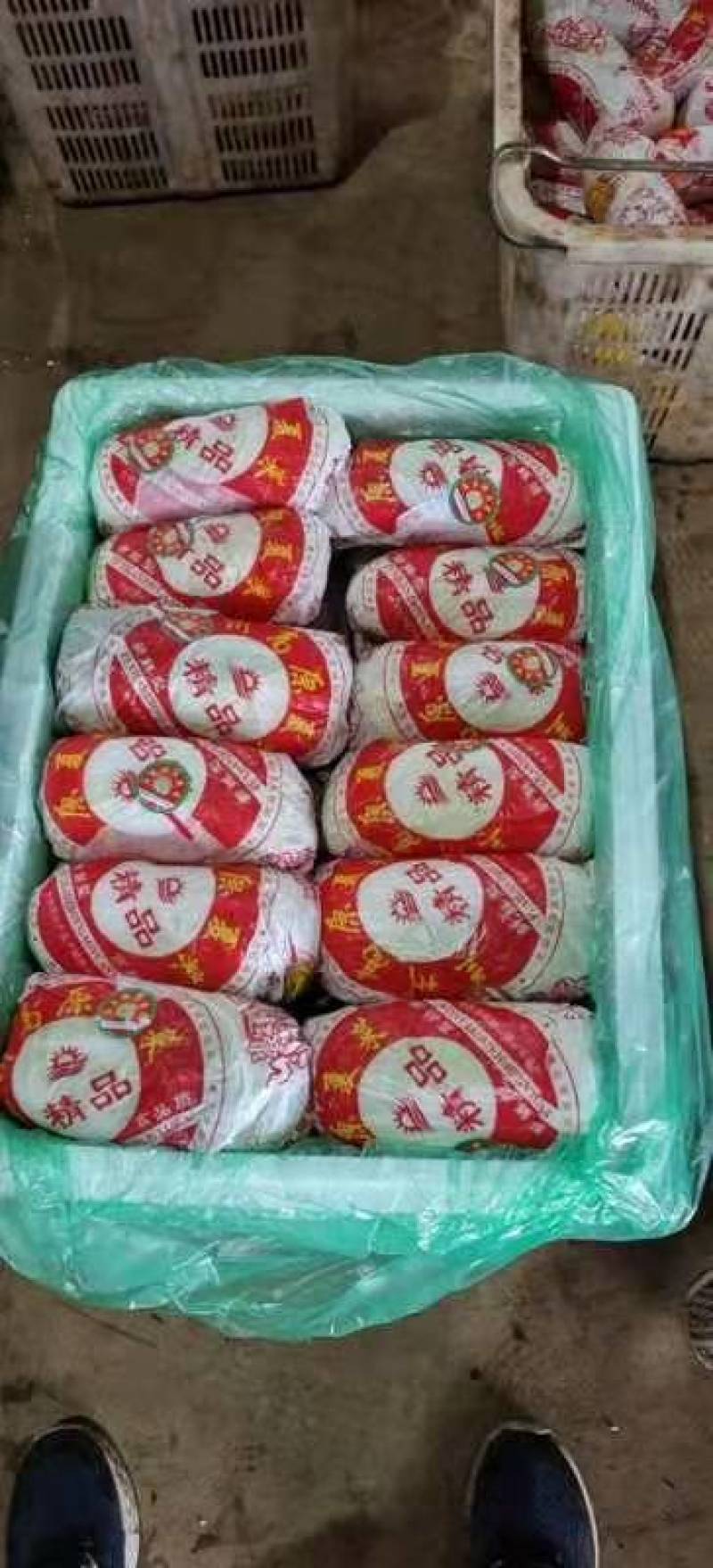 精品大娃娃，