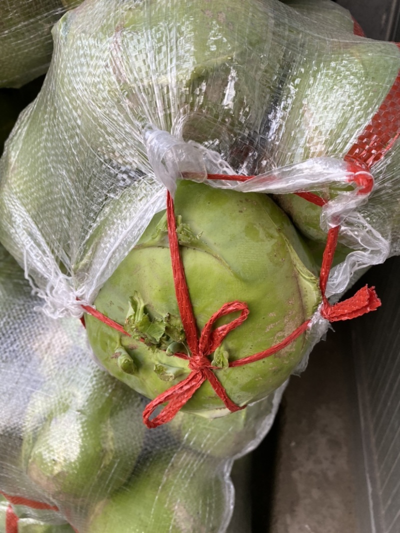 青苤蓝大量走货中，酱菜厂腌制，市场售卖质优价廉