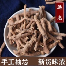 远志中药材野生【道地正品】远志肉抽芯远志去芯空心远