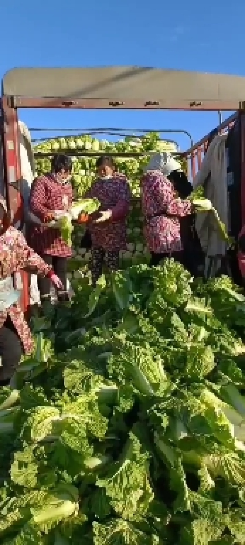 新乡小包头