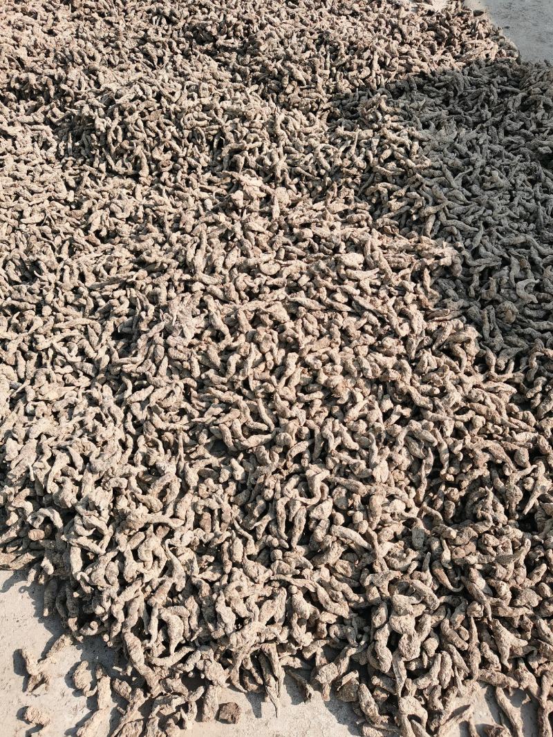 焦作原产地熟地片正宗焦作武陟怀熟地片精选熟地只卖真熟地
