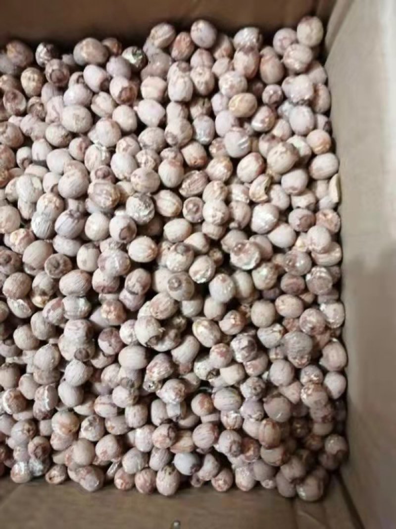 干红莲子，农户，散户自产自销，没施过化肥的