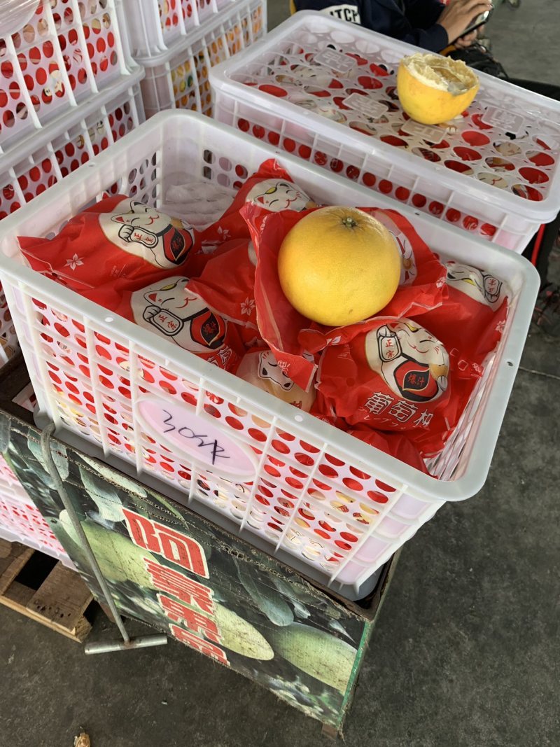葡萄柚