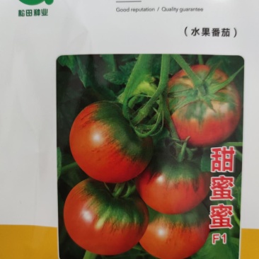水果番茄种子甜蜜蜜西红柿种子，无限生长型,早熟1000粒