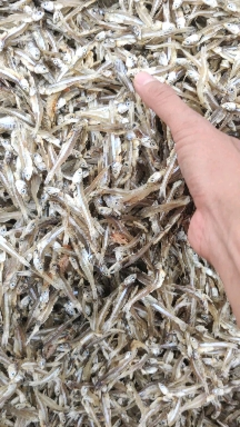 淡干白凡鱼小鱼干银鱼干公干鱼干跑江湖畅销产品鱼干货