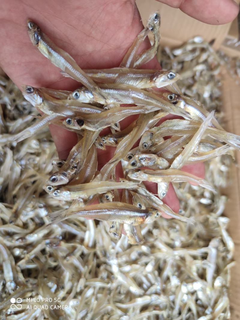 淡干白凡鱼小鱼干银鱼干公干鱼干跑江湖畅销产品鱼干货