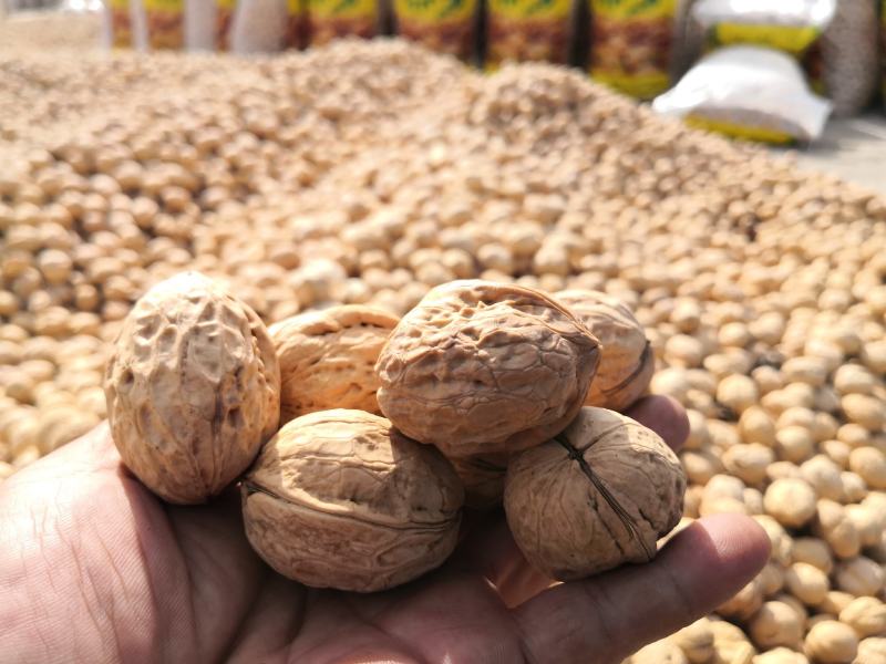 新货新疆幸福核桃幸福大货薄皮核桃孕妇核桃量大改价