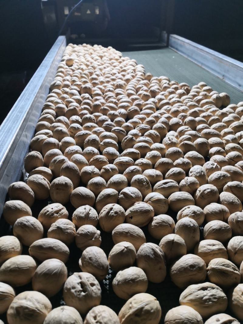 新疆三三薄皮核桃孕妇核桃坚果量大改价