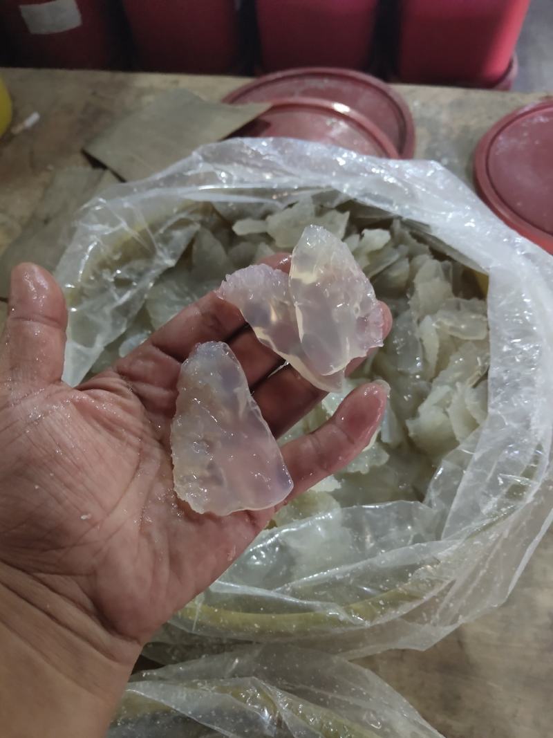 【推荐】海蜇皮海蜇头，各种既食海蜇基地直发货源稳定