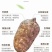 干天麻片丶无硫天麻片丶红天麻片产地直销，可一件代发