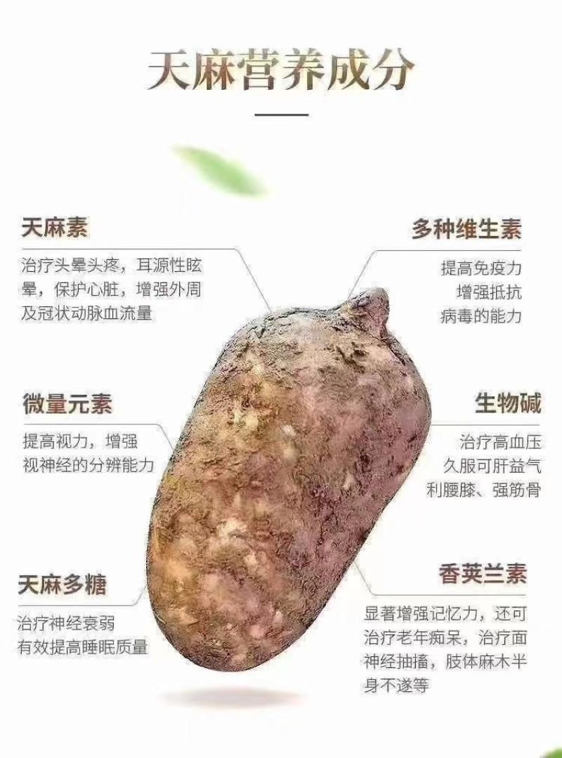 干天麻片丶无硫天麻片丶红天麻片产地直销，可一件代发