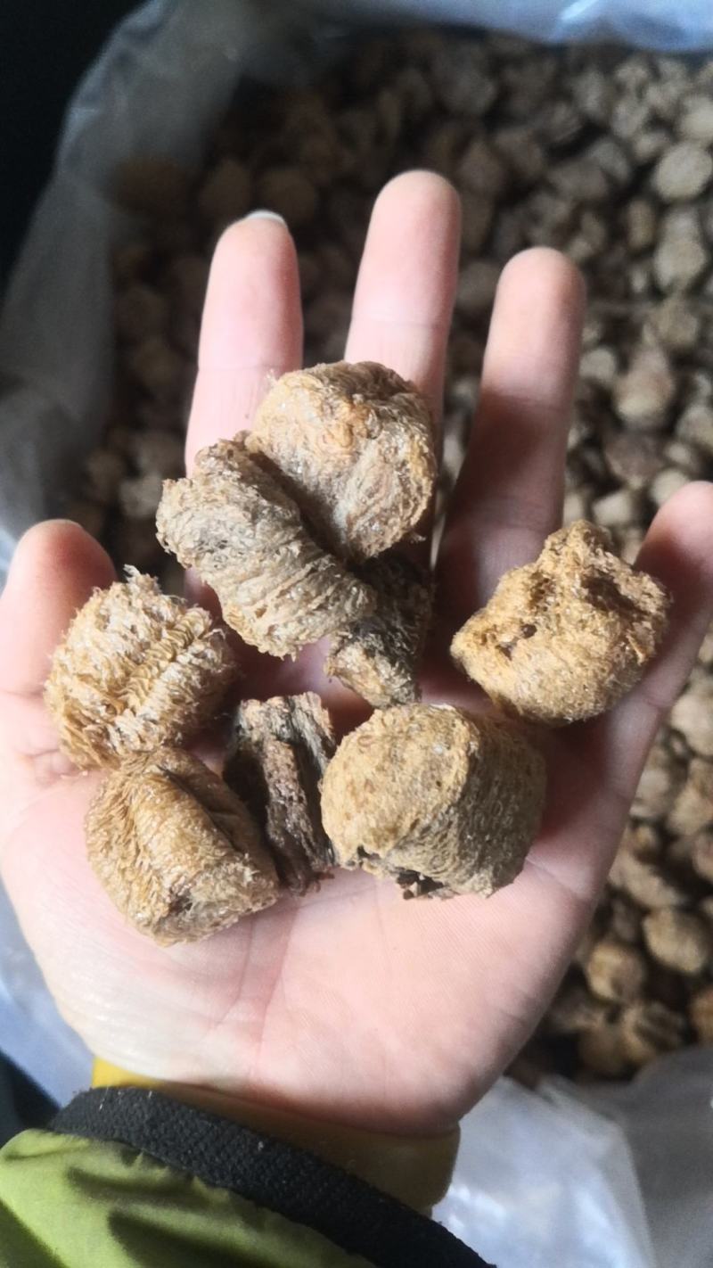 桑螵蛸熟大棉都有看好链接不满意可退换货只做正品
