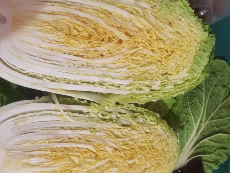 矮颗黄心大白菜，产地直发口感好色泽鲜艳质量