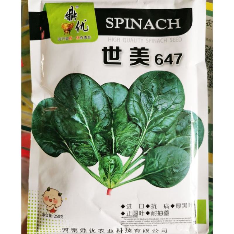 鼎优丰胜一号黑圆叶菠菜种子进口菠菜籽250克原装发货