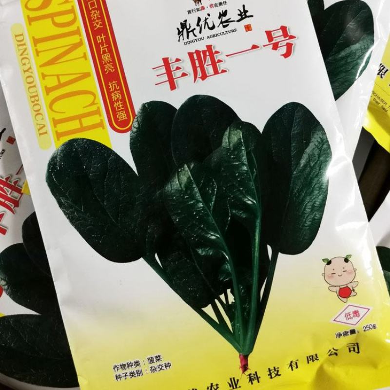 鼎优丰胜一号黑圆叶菠菜种子进口菠菜籽250克原装发货