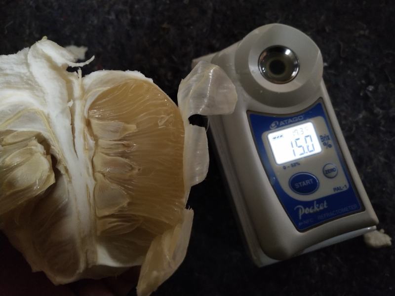 江永香柚，果色金黄，肉质细腻，清香味甜，柚惑挡不住！